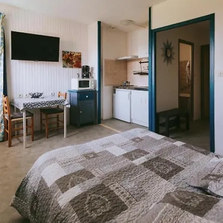 莱斯阿加西亚斯酒店 3*