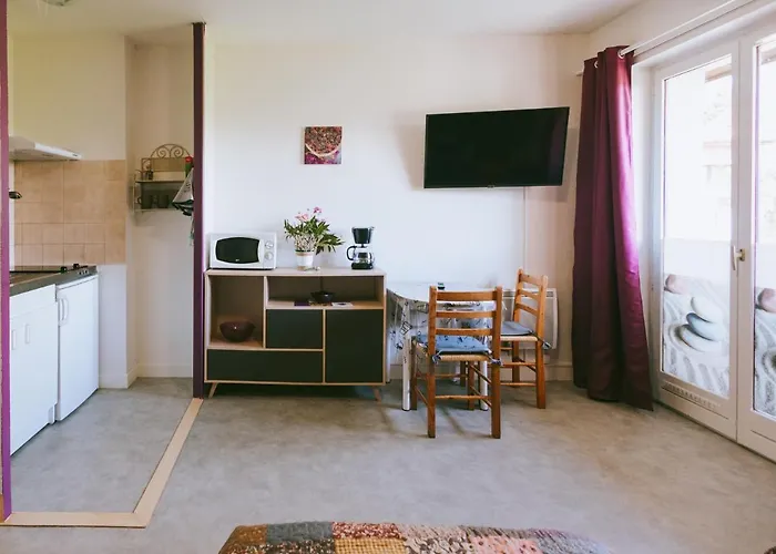 莱斯阿加西亚斯酒店