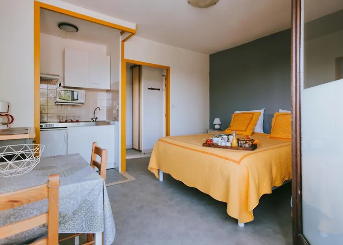 莱斯阿加西亚斯酒店